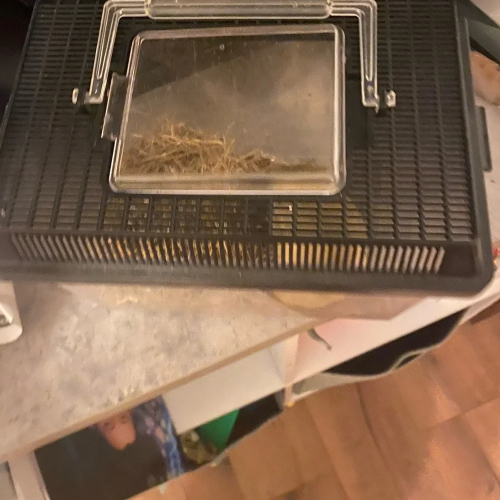 Lizard Cage